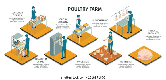 Isometric poultry farm horizontal infographics with characters of workers and animals work activities with text captions vector illustration