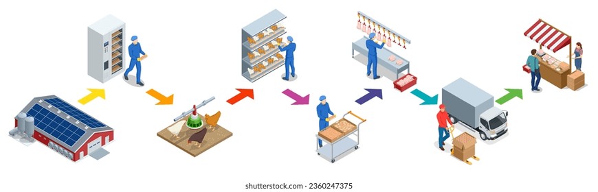 Isometric Poultry farming. Poultry farm building, production of chicken meat, eggs, poultry products. Chicken on an organic farm, freely grazing on a meadow. Organic farming.