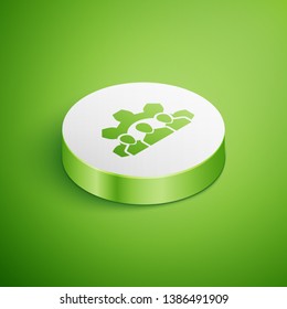Isometric Project team base icon isolated on green background. Business analysis and planning, consulting, team work, project management. Developers. White circle button. Vector Illustration