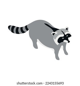 Isometric raccoon on white background 3d vector illustration