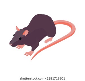 Rata isométrica contra fondo blanco 3d ilustración vectorial