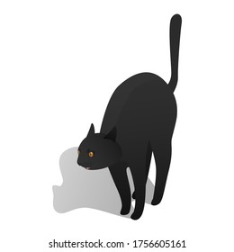 Isometric reared up cat. Realistic cartoon style. Domestic animal in isometric. Isolated vector illustration art.