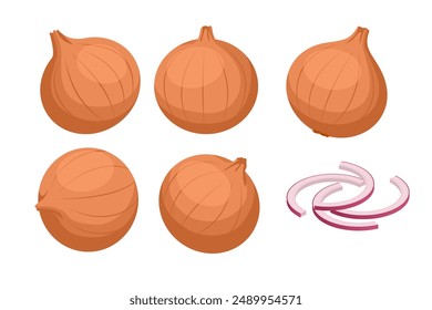 Isometric red whole and sliced onion, isolated on a white background. Onion chopped pieces for cooking