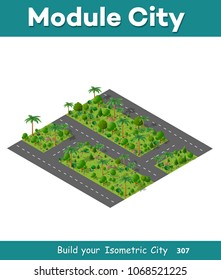 The isometric road in the forest 3d landscape nature with element green tree of the city park map street. Vector outdoor summer illustration for travel design.