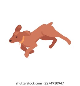 Isometric running brown dog with collar 3d vector illustration