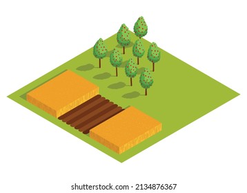 Granja rural isométrica. Cultivar árboles frutales y un campo con una cosecha de trigo u otros cereales. Icono de vector que representa el elemento de campo