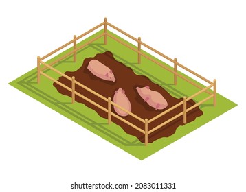 Isometric Rural Farm. Pigs In Swamp Behind Wooden Fence. Vector Icon Representing Countryside Element