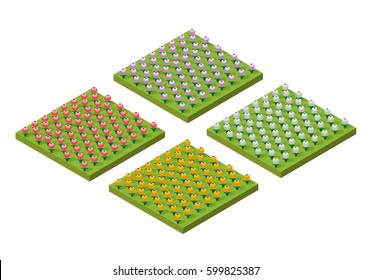 Isometric rural rustic farm with flowers of village natural ecological landscapes infrastructure