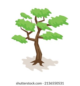 Isometrische Safari-Komposition mit isoliertem Bild von Bonsai-Baum auf unscharfem Hintergrund, Vektorgrafik