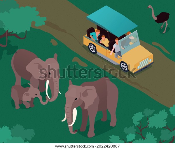 Isometric safari composition of outdoor\
scenery with wild elephants and camel bird with moving tourist car\
vector illustration