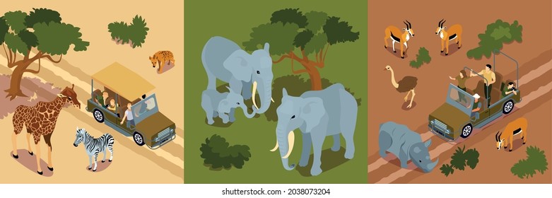 Isometric safari design concept with images of wild elephants giraffe and zebras with tourists on cars vector illustration