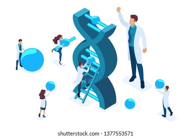 Isometric Scientists are investigating the structure of DNA, making experiments. Concept for web design.