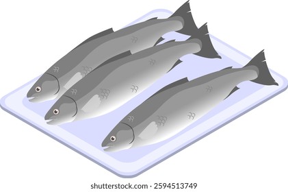 Isometric sea bass, detailed and dynamic