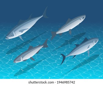 9,520 Isometric Fish Images, Stock Photos & Vectors 