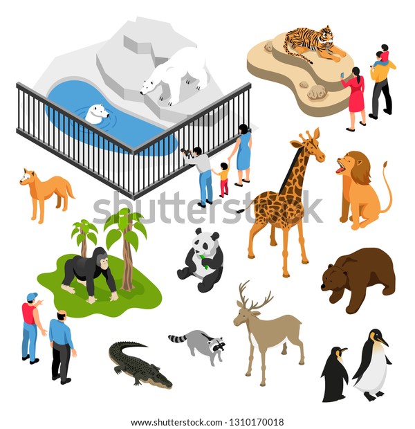 白い背景に動物園を訪れたときの動物と人のアイソメセット 分離型ベクターイラスト のベクター画像素材 ロイヤリティフリー Shutterstock