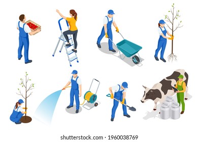 Isometric set of farmers or agricultural workers planting crops, farmer with a wheelbarrow, harvesting, planting a fruit tree, farmer watering plants, digging the ground isolated on white background