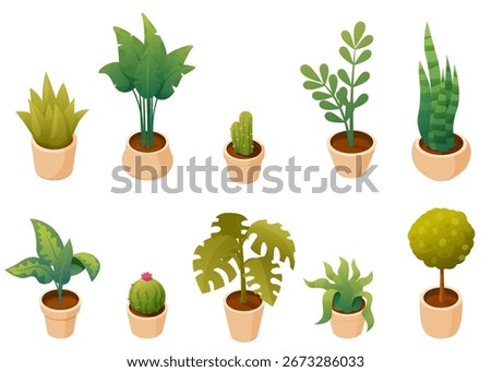 isometric set of house plants in pots, vector illustration