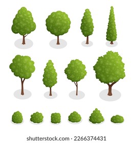 Isometric set of park plants. 3d green trees and bushes of various shapes isolated on white background vector illustration.