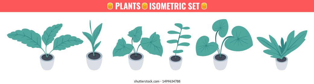 Isometric set of potted plants. Vector illustration.