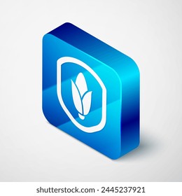 Isometric Shield corn icon isolated on grey background. Security, safety, protection, privacy concept. Blue square button. Vector