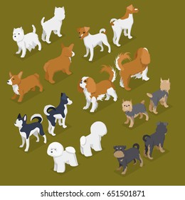 Isometric Small Dog Breeds with Jack-Russell Terrier, Corgi and West Highland. Vector flat 3d illustration