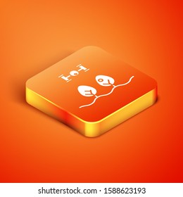 Isometric Smart farm with drone control and tree icon isolated on orange background. Innovation technology for agricultural company.  Vector Illustration