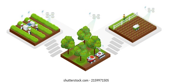 Isometrische intelligente Robotik in der Landwirtschaft, Automatisierungs-Roboter-Bauern müssen programmiert werden, um zu arbeiten. Roboter künstlicher Intelligenz in der Landwirtschaft. Bio-Lebensmittel, Landwirtschaft und Hydroponik