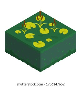 Isometric Soil Layers diagram. Cross section of green grass and underground soil layers beneath. The stratum of organic, minerals, sand, clay. Isometric soil layers with top layer of green grass