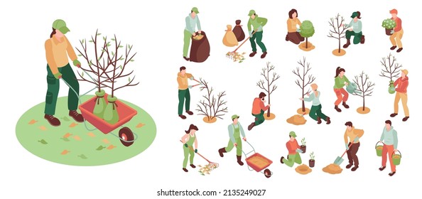 Isometric spring gardening icon set workers collect leaves care for trees and greenery plant trees weed beds vector illustration