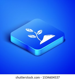 Isometric Sprout icon isolated on blue background. Seed and seedling. Leaves sign. Leaf nature. Blue square button. Vector Illustration