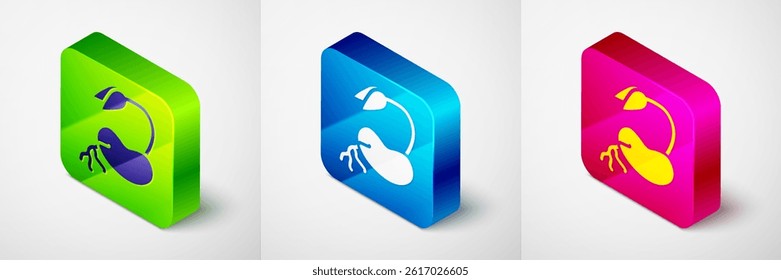 Isometric Sprout icon isolated on grey background. Seed and seedling. Leaves sign. Leaf nature. Square button. Vector