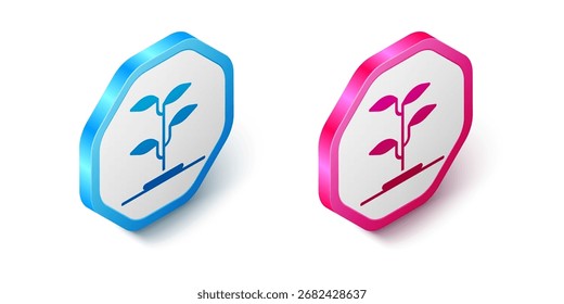 Ícone Isometric Sprout isolado no fundo branco. Sementes e plântulas. Deixa o sinal. Natureza de folha. Botão hexágono. Vetor