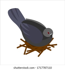 Isometric style icon.Dove in nest .Vector illustration Isolated on a white background.