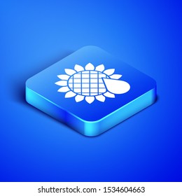 Isometric Sunflower icon isolated on blue background. Blue square button. Vector Illustration