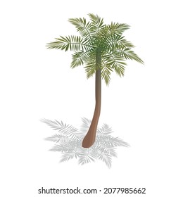 Isometric surfing composition with isolated image of palm tree on blank background vector illustration