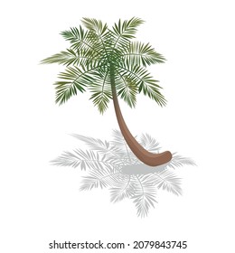 Isometric surfing composition with isolated image of palm tree on blank background vector illustration