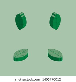 isometric symbols of green natural leaves on light background. natural organic template design layout. trendy vector illustration easy to edit and customize. eps 10