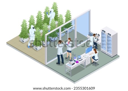 Isometric testing cannabis buds for the extraction of medicinal oil. Herbal alternative medicine, cbd oil, pharmaceptical industry