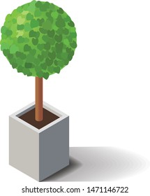 Isometric tree in a concrete planter. Indoor and outdoor design element.
