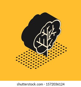 Isometric Tree icon isolated on yellow background. Forest symbol.  Vector Illustration