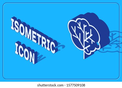Isometric Tree icon isolated on blue background. Forest symbol.  Vector Illustration