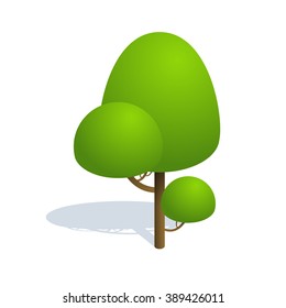 Isometric tree  on white background.  Vector illustration Isometric tree with shadow. Isometric tree vector icon illustration.