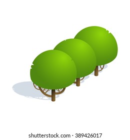 Isometric tree  on white background.  Vector illustration Isometric tree with shadow. Isometric tree vector icon illustration.