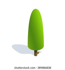 Isometric tree  on white background.  Vector illustration Isometric tree with shadow. Isometric tree vector icon illustration.