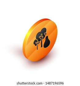 Isometric Tree with pears icon isolated on white background. Agricultural plant. Organic farm product. Gardening theme. Orange circle button. Vector Illustration
