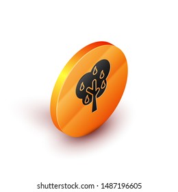 Isometric Tree with pears icon isolated on white background. Agricultural plant. Organic farm product. Gardening theme. Orange circle button. Vector Illustration