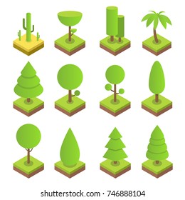 Isometric tree set. Big and small trees, pine, shrubs, felled trees, cacti, palms. Vector illustration.