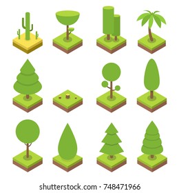 Isometric tree set. Big and small trees, pine, shrubs, felled trees, cacti, palms. Vector illustration.