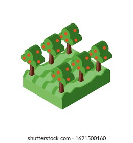 Isometric trees with apples design, Nature element earth eco ecology conservation bio environment and outdoor theme Vector illustration