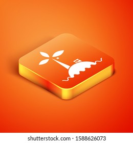 Isometric Tropical island in ocean icon isolated on orange background. Landscape with ocean and palm trees. Travel.  Vector Illustration